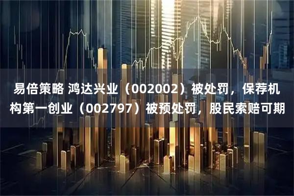 易倍策略 鸿达兴业(002002)被处罚,保荐机构第一创业(002797)被预处罚,股民索赔可期